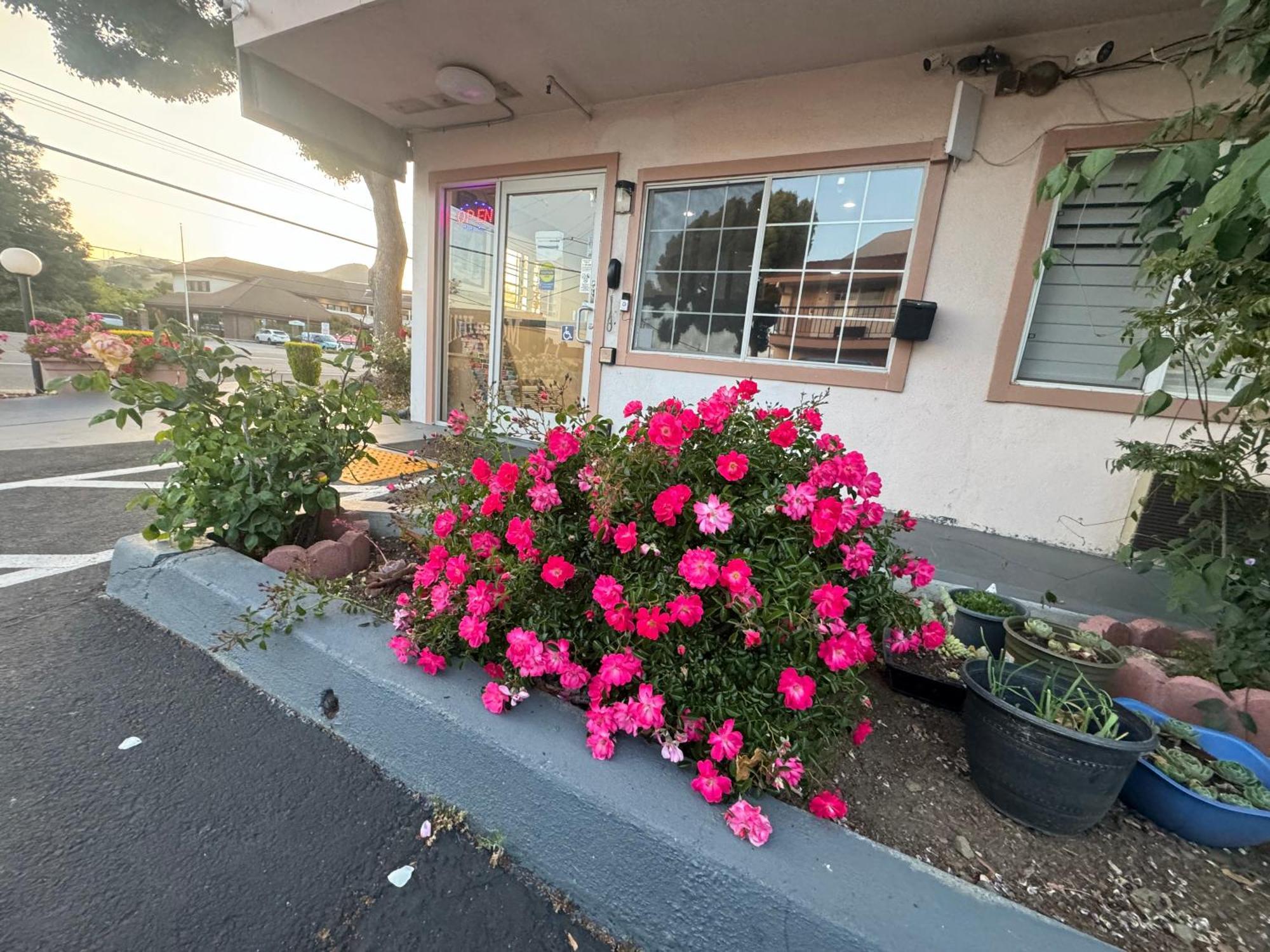 Morgan Hill Inn 외부 사진